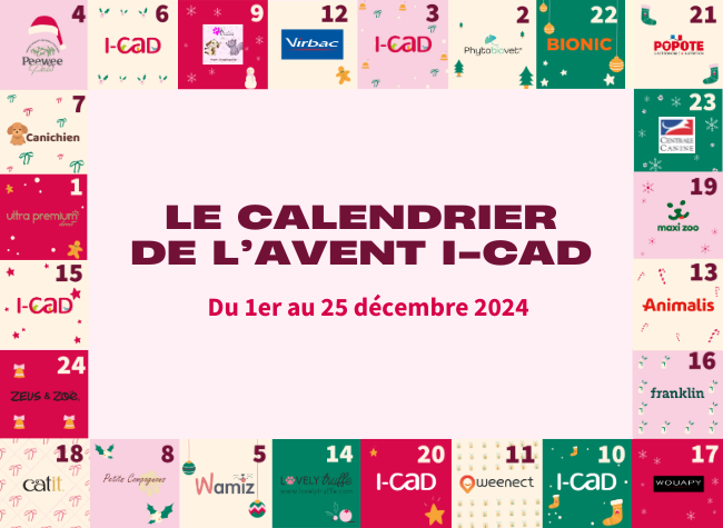 calendrier de l'avent i-cad 2024